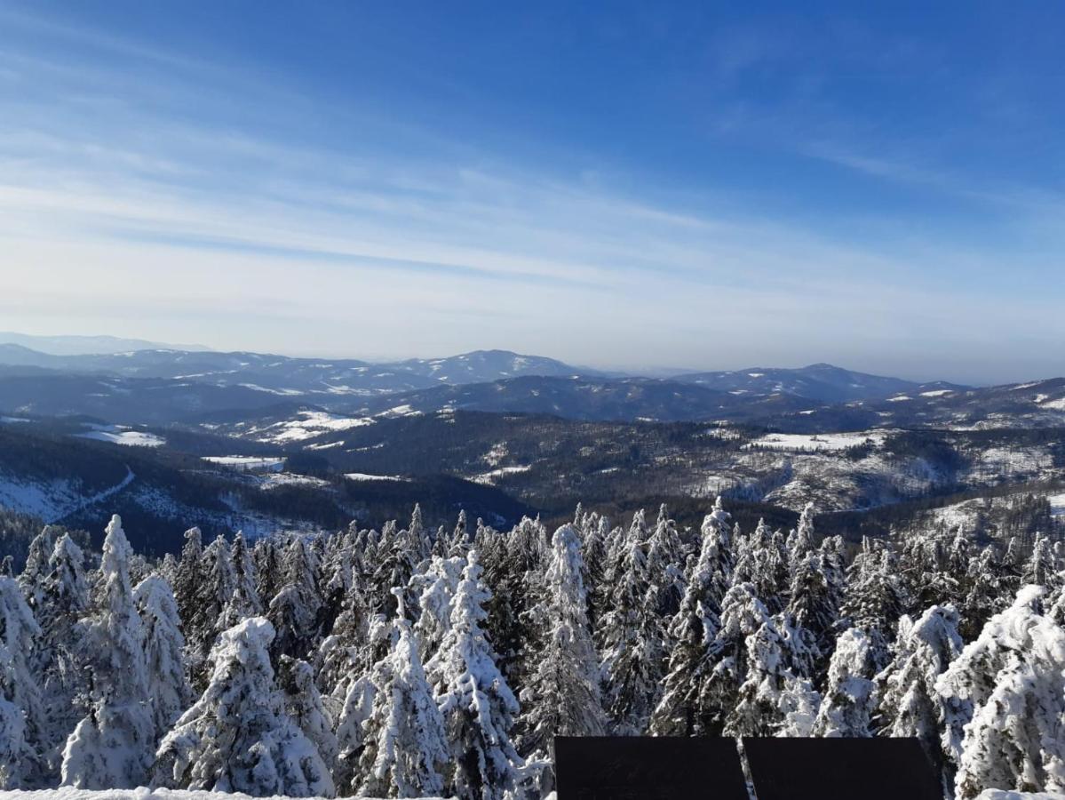Chata Goralska Wojtasowka Kamesznica Exterior foto