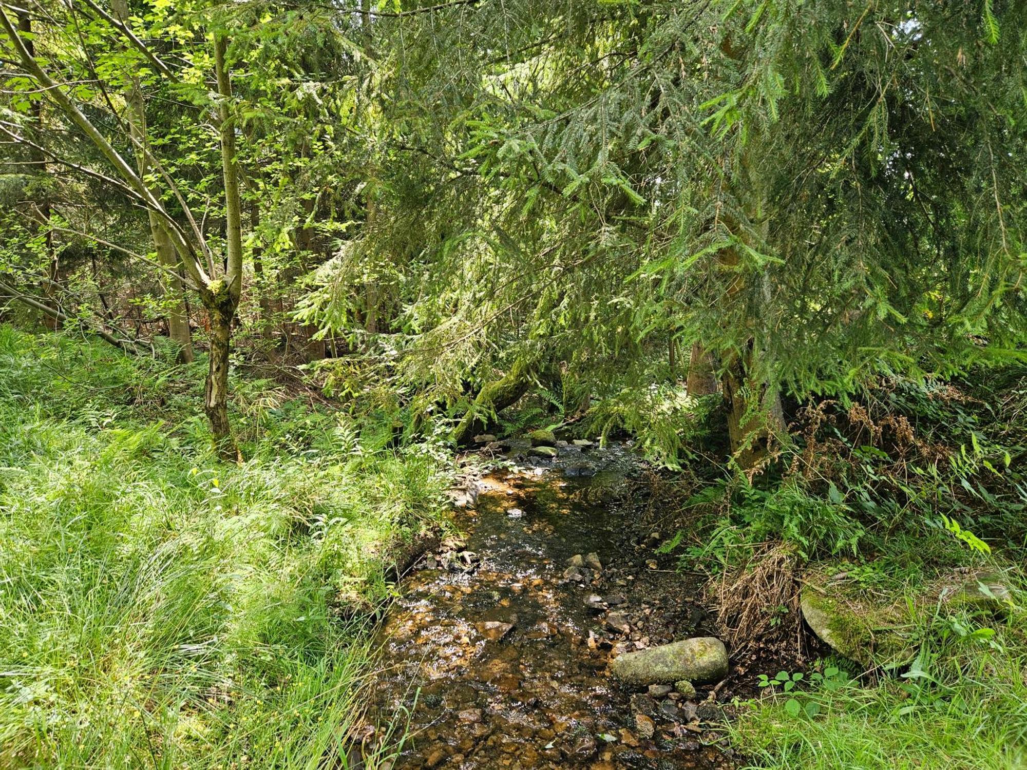 Chata Goralska Wojtasowka Kamesznica Exterior foto
