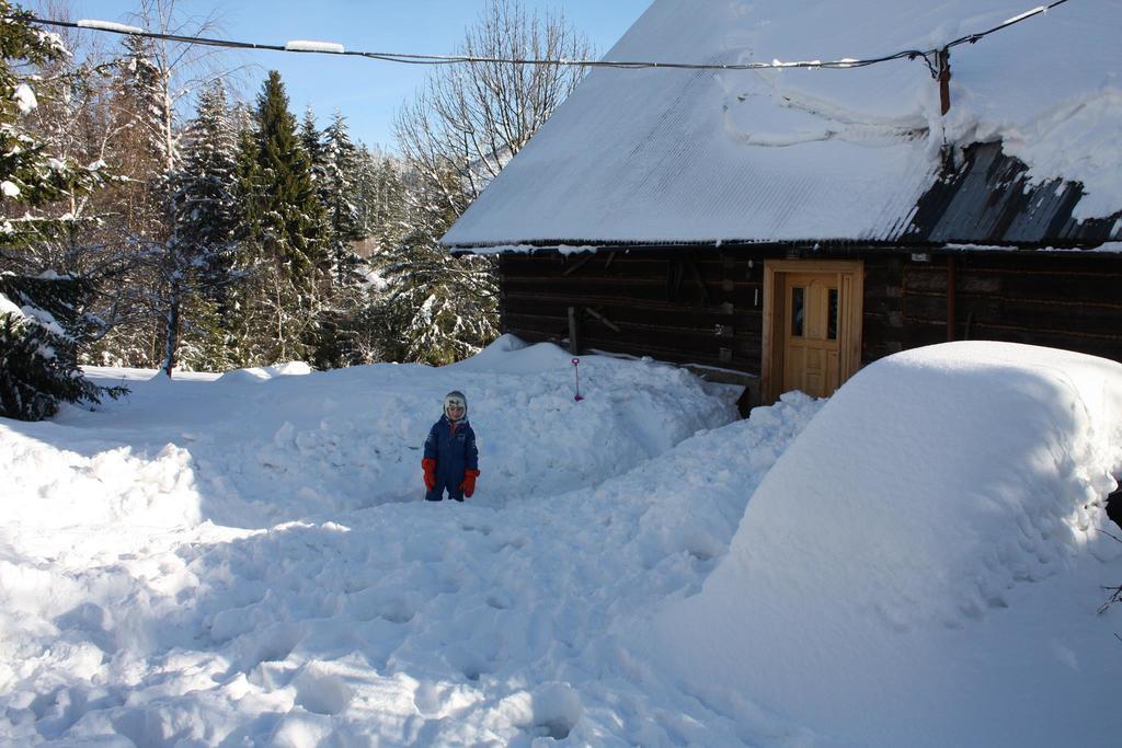 Chata Goralska Wojtasowka Kamesznica Exterior foto